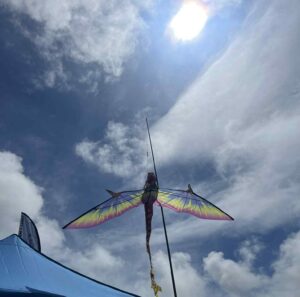 Diamond Dust - Borrowed the flying dragon from our 8 Foot Robot Cat