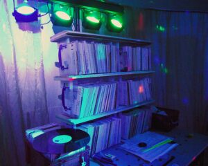 Vinyl DJ Experience by DJ Diamond Dust - added memories to experience!